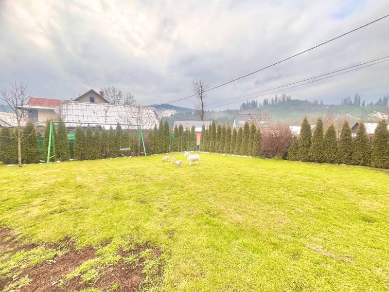 A lawn with greenery and sheep in the garden of a family house in Predmier, Turzovka.
