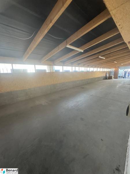 Interior of commercial spaces with wooden beams and concrete flooring.