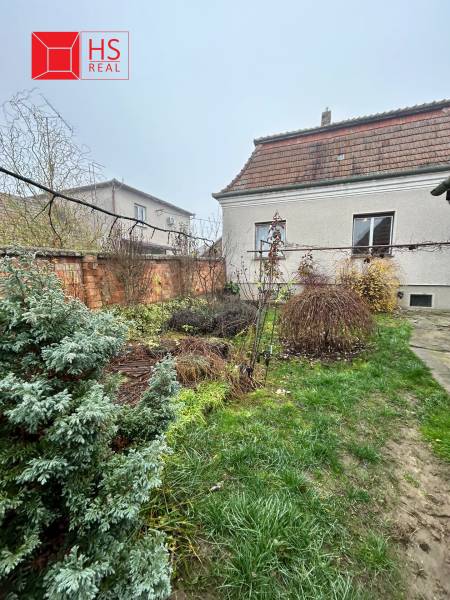 The garden next to the family house on Bešeňovská Street in Dvory nad Žitavou with a lawn and shrubs.