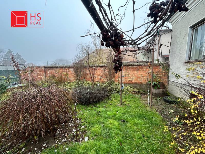 The garden at the family house on Bešeňovská Street in Dvory nad Žitavou, vineyard, lawn.