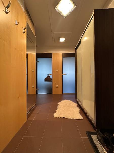 Hallway of a 2-room apartment with carpet and mirrors, wooden decor on cabinets.