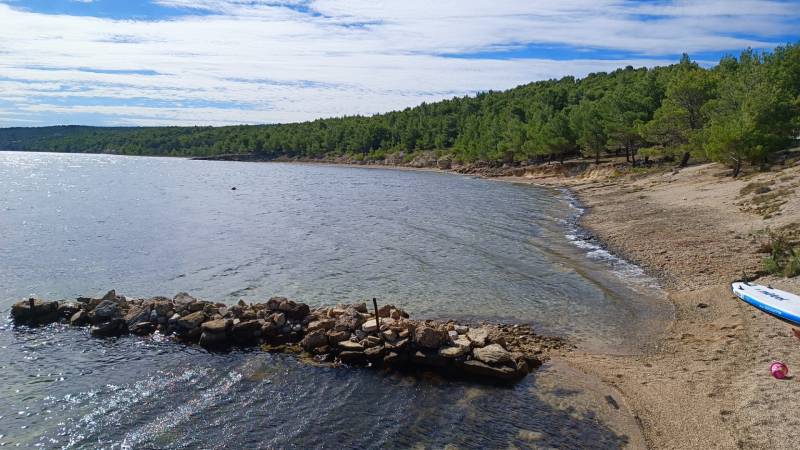 The coastal landscape near Pridraga with a forest, a shallow beach, and a rocky promontory.