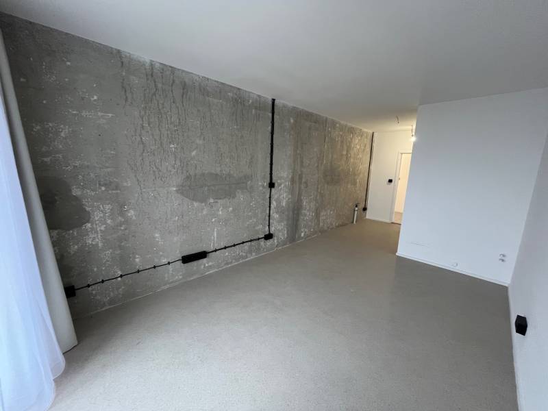 Studio apartment with concrete wall and floor, bright minimalist interior.