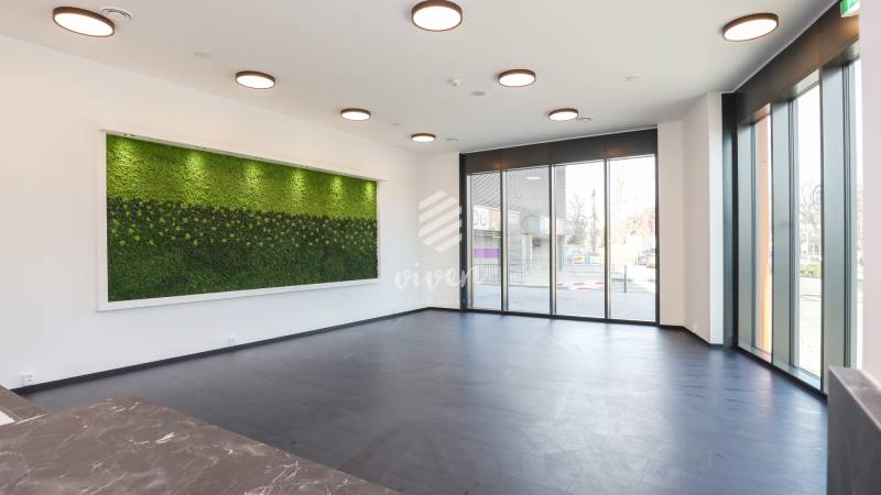 Interior of commercial space with wood-patterned flooring and a green wall.