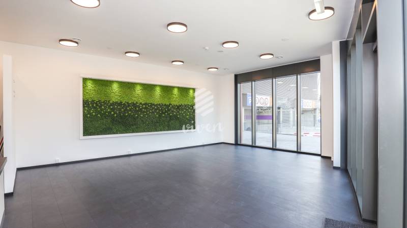 The interior of a commercial space with large windows and a green wall on the wall.