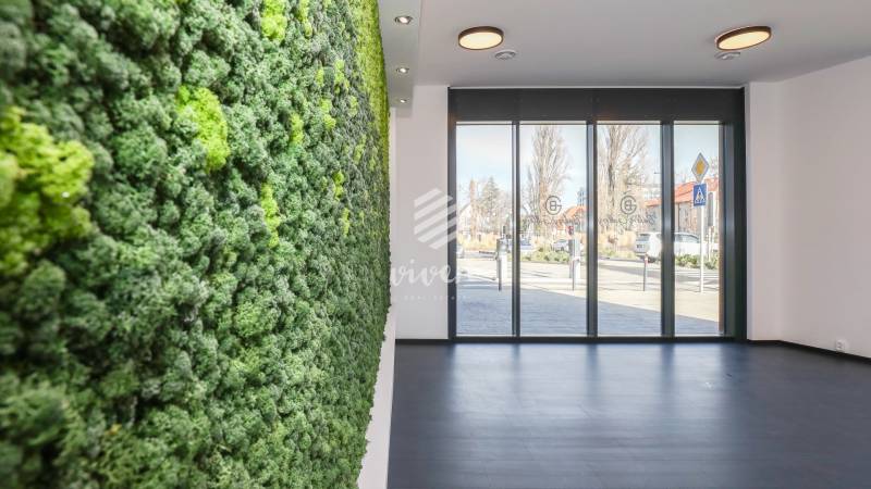 Commercial spaces with a vertical garden and large windows, allowing a view of the street.