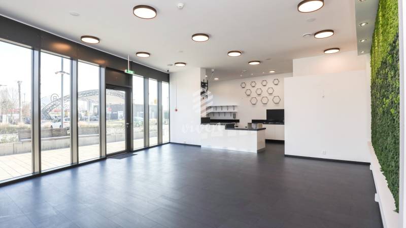 Commercial premises with a black floor and a living green wall in Bratislava on Súkennícka.