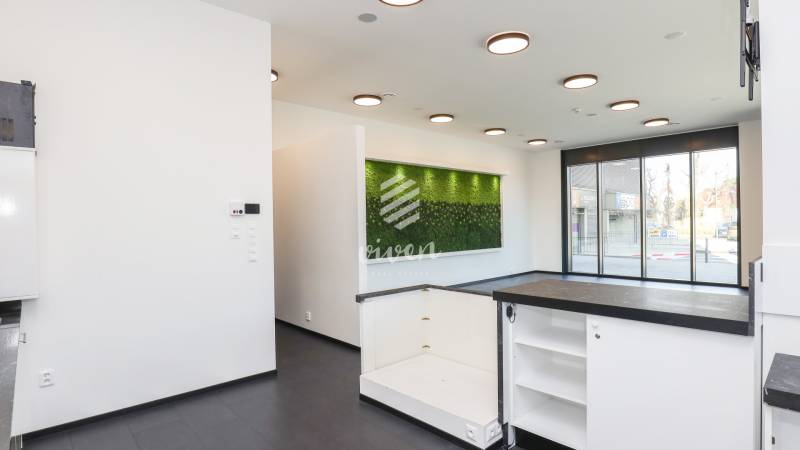 Interior of commercial spaces with large windows and a vibrant green wall.