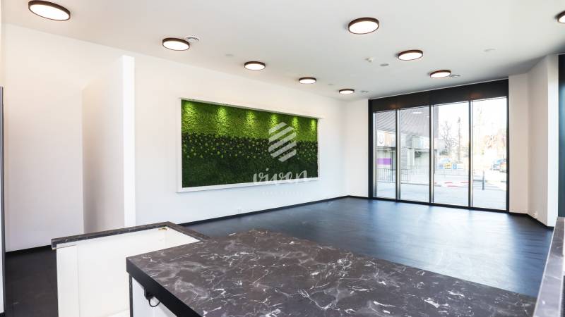 Commercial spaces with large windows, black flooring, and a green wall in decor.