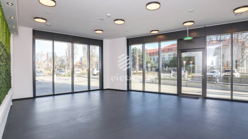 Bright commercial spaces with large windows and wood-patterned flooring.