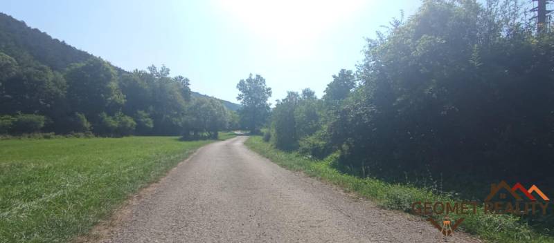 A path surrounded by nature in Horný Tisovník offers peaceful plots - living.