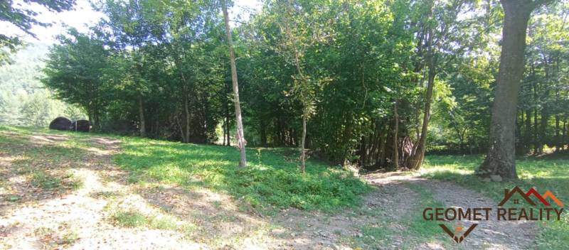 Meadow and forest vegetation on a plot in Horný Tisovník, suitable for living.