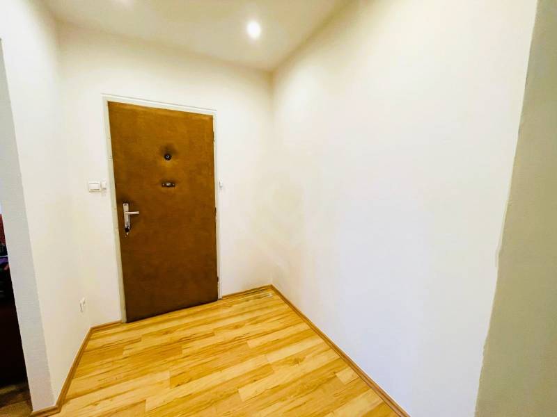 A bright hallway in a 3-room apartment with a wooden decor floor and wooden doors.