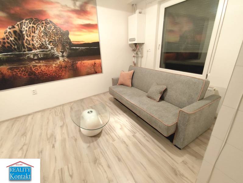 Living room in a two-room apartment with a sofa, glass table, and wooden decor flooring.