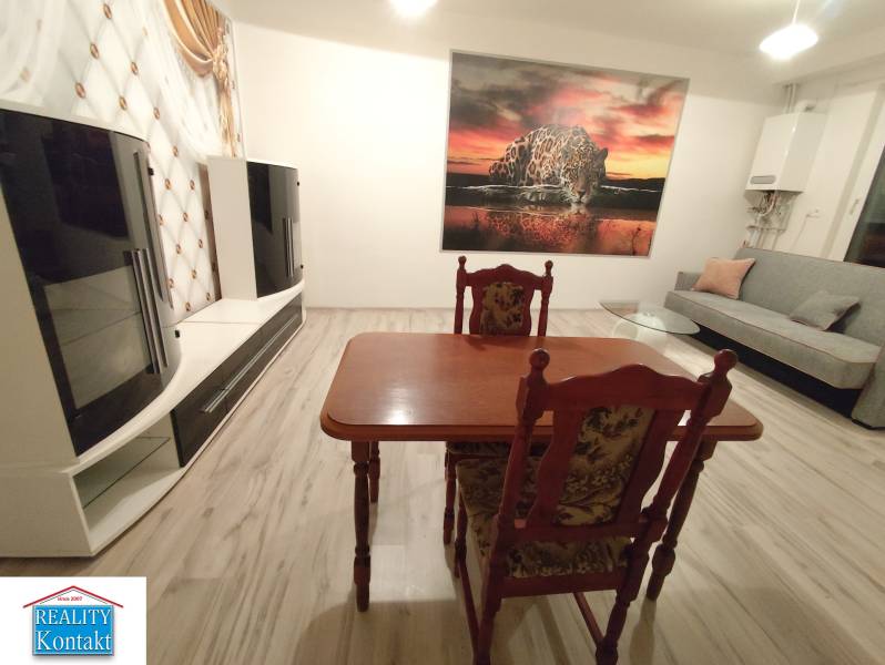 Living room in a two-room apartment with a wooden decor floor and a striking picture of a leopard.