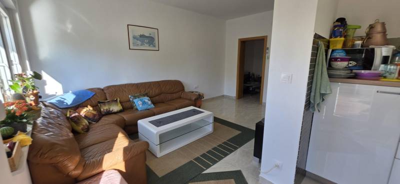 Living room in a 3-room apartment with a brown couch and plants on the windowsill.