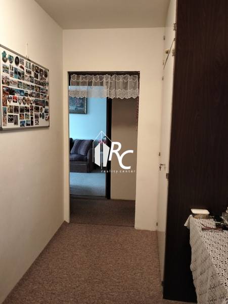 A hallway in a 3-room apartment with a carpet, wall decoration, and a view into the living room.