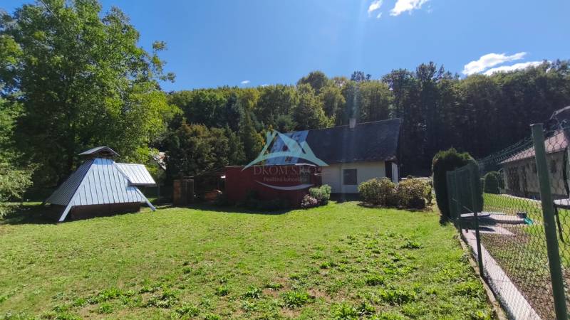 A garden with a cottage in Dolné Strháre, surrounded by forest, sunny day.