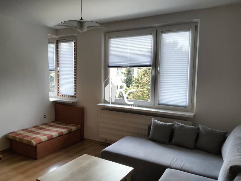 Living room of a one-room apartment with a sofa and a chaise lounge, floor with wooden decor.