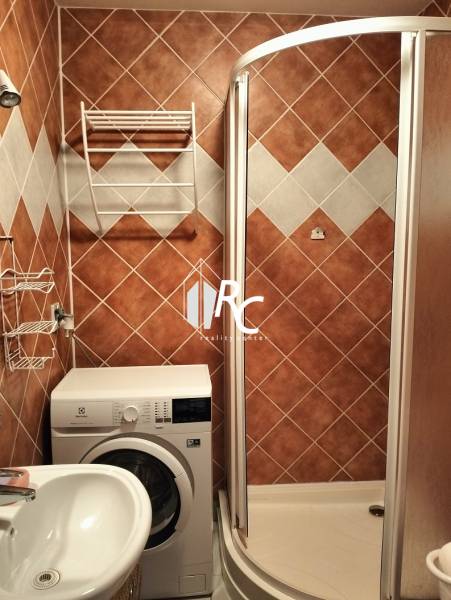 A bathroom in a studio apartment with a washing machine, shower corner, and ladder dryer.