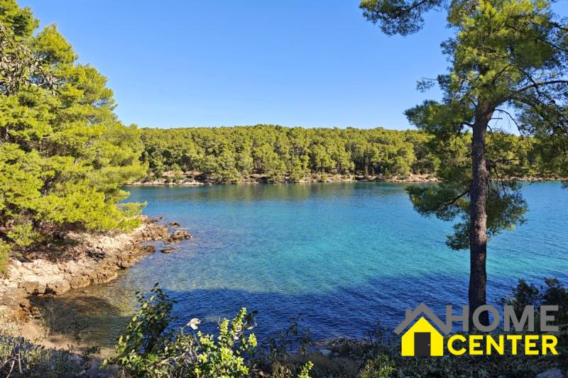 A view of the crystal-clear blue sea and pine forest near a holiday apartment in Hvar.