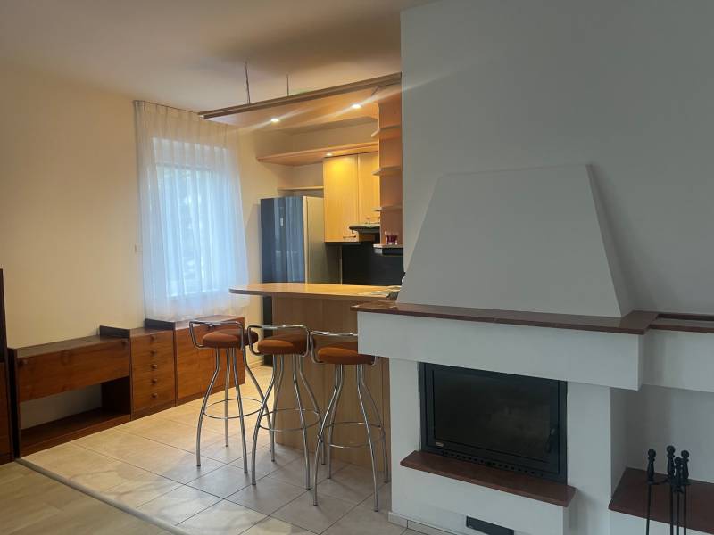 A kitchen in a family house with a bar, fireplace, wooden decor, and furniture.