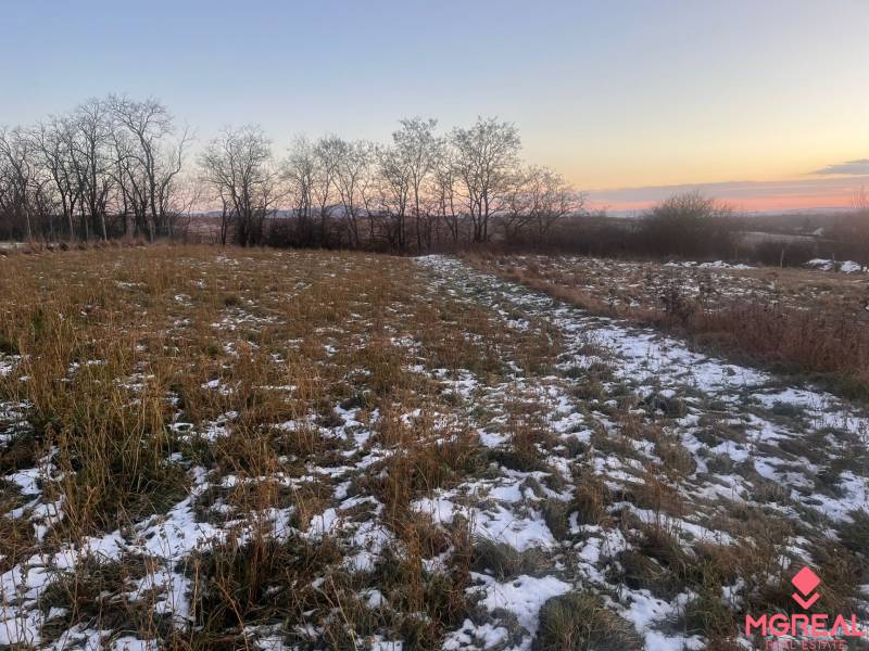 A snowy field with grass and trees at sunset in Tvrdomestice.