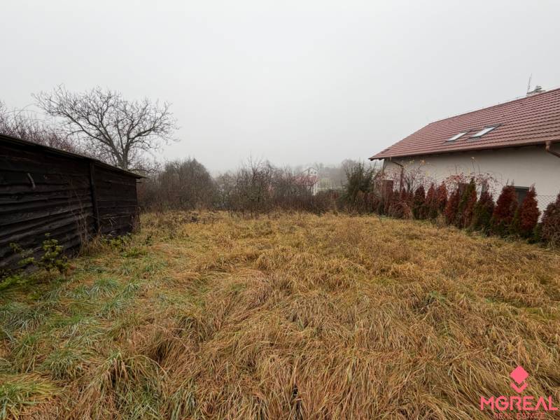 A garden at a family house in Tvrdomestice with an old wooden shed and a dilapidated lawn.