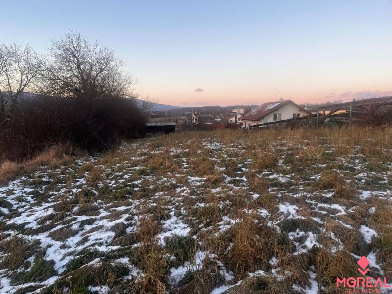 A landscape in Tvrdomestice with a family house, dry grass, and remnants of snow.