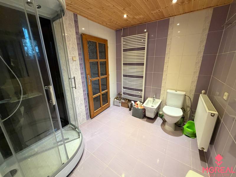 A bathroom in a family house with purple tiles, a shower corner, and a wooden ceiling decor.