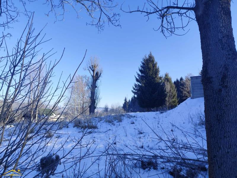 Snow-covered lands in Podvysoká with visible trees and shrubs.