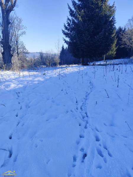 Snow-covered residential plots in Podvysoká with forest vegetation in the background.
