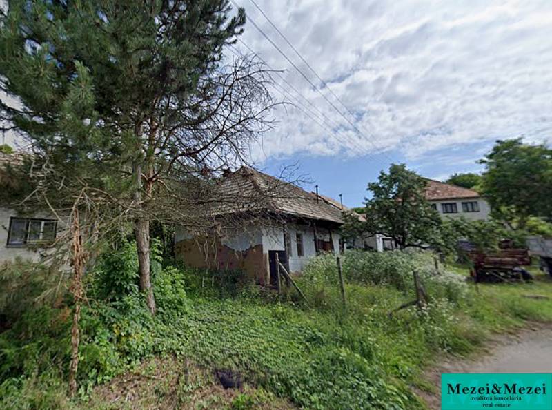 A family house in Nenince surrounded by greenery with a fenced garden.