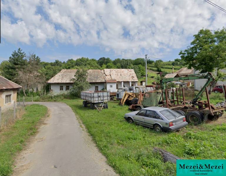 A family house in Nenince with a garden, older houses, and parked cars in the yard.
