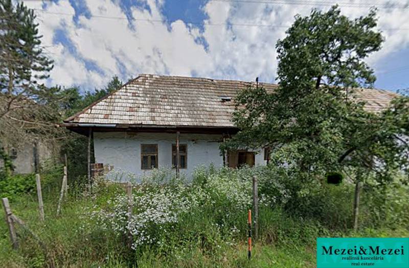 A family house in Nenince with a grassy plot, a fence, and trees in the garden.
