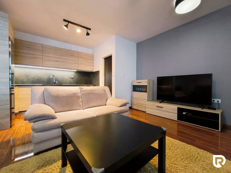 Living room with wood-patterned flooring, a sofa, and a television in a two-room apartment.