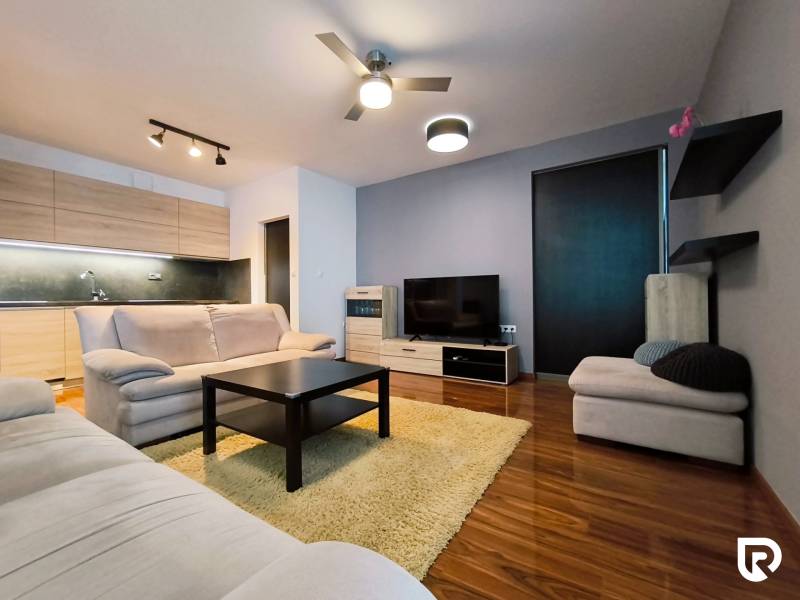 Living room of a two-room apartment with a wooden decor floor, kitchen, and comfortable sofas.