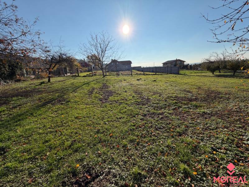 A plot in Súlovce on the main street with trees and the sun in the background.