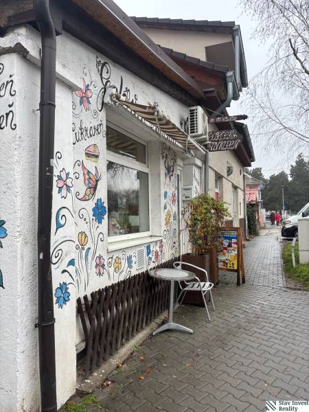 Commercial premises on Moyzesova Street in Senec with outdoor flower drawings and benches.