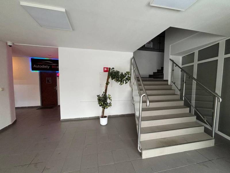 Staircase in offices with metal railing and flowerpot.