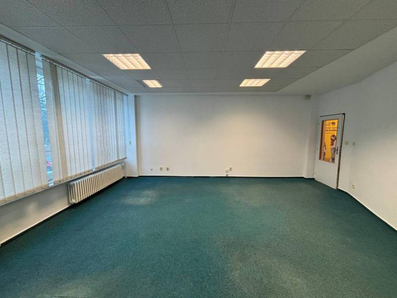 An empty office with windows along the entire wall and a green carpet.