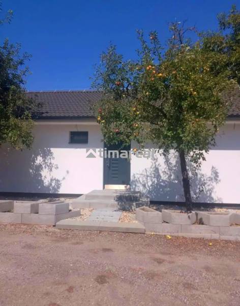 A family house in Kaplna with apples on the tree and a clear sky.