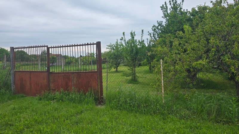 The gate and fence in the gardens of the town Dolná Streda, surrounded by green trees and grass.