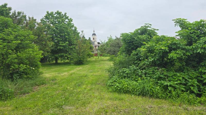 Green gardens in Dolná Streda with the church tower on the horizon.