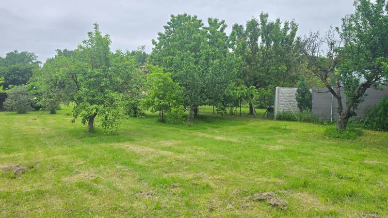 Gardens in Dolná Streda with a lawn and fruit trees, surrounded by a fence and vegetable planting.