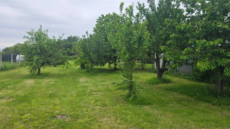 Trees and lawns in the gardens of Dolná Streda create a green oasis of tranquility.