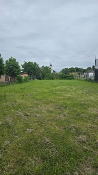 Greenery in the Gardens of Dolná Streda with a view of the church tower.
