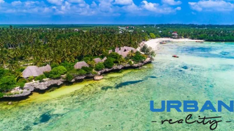 Coastal scenery with palm trees and bungalows in Kizimkazi, land - commercial.