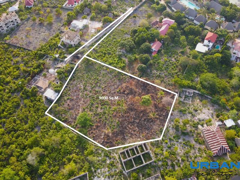 Commercial plots in Kizimkazi, shown with a marked area of 9000 m².