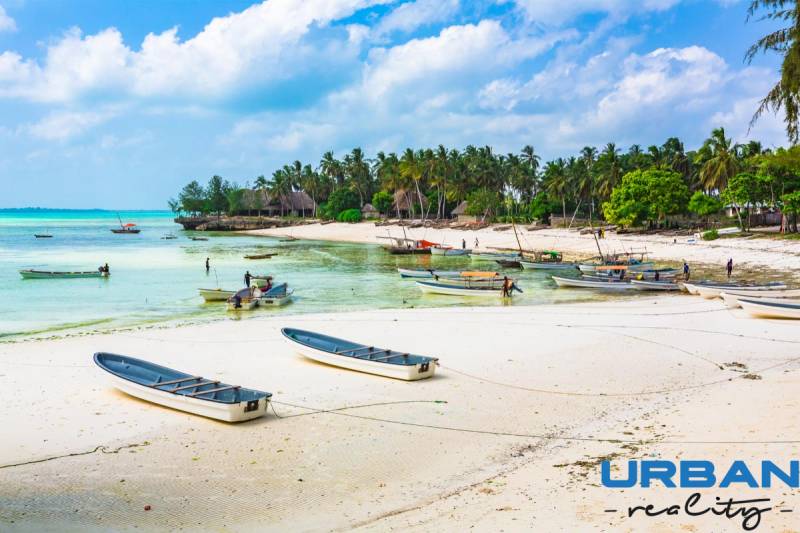 A beach with boats and palm trees in Kizimkazi, ideal for commercial properties.